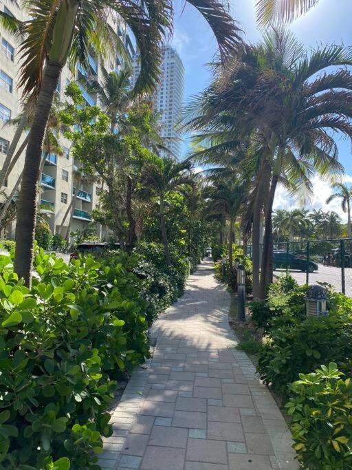 Amazing Studio Beach Walking Distance! 26B Hallandale Beach Eksteriør bilde